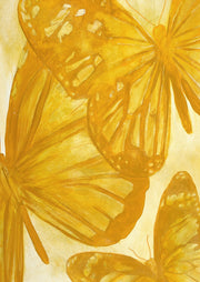 Papillions