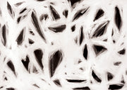 Abstract painting with white brushstrokes over black creating angular shapes