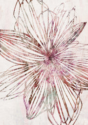 Radiating pink and mauve floral illustration with linear petals on a pale textured background.