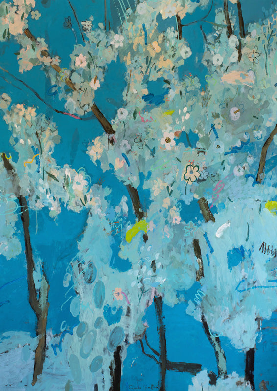 Cherry Blossom