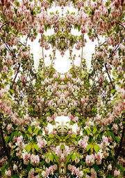 Symmetrical kaleidoscope pattern of pink and white cherry blossoms with green leaves