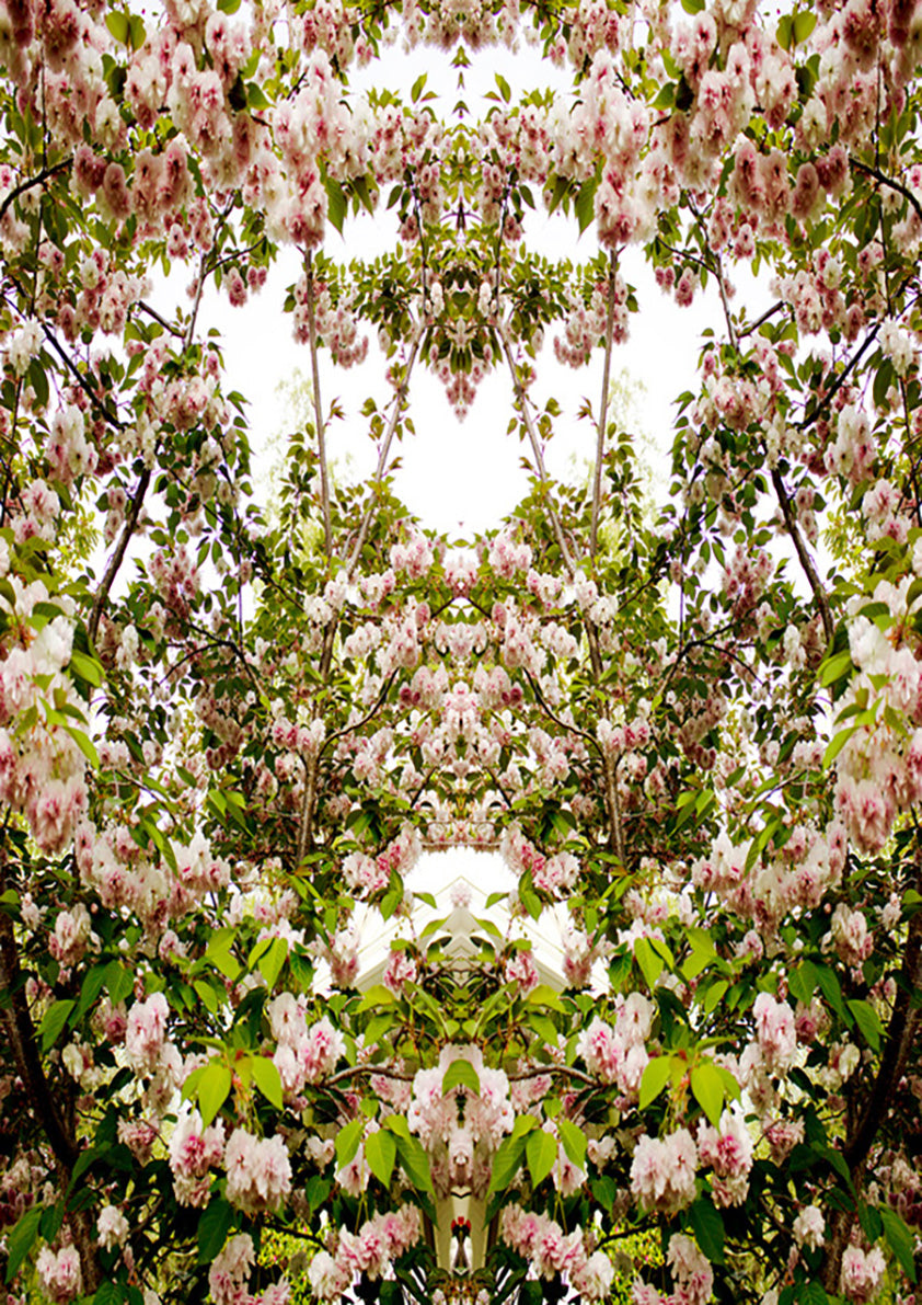 Spring Kaleidoscope 1