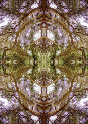 Symmetrical kaleidoscope pattern of mirrored tree branches in brown and green tones