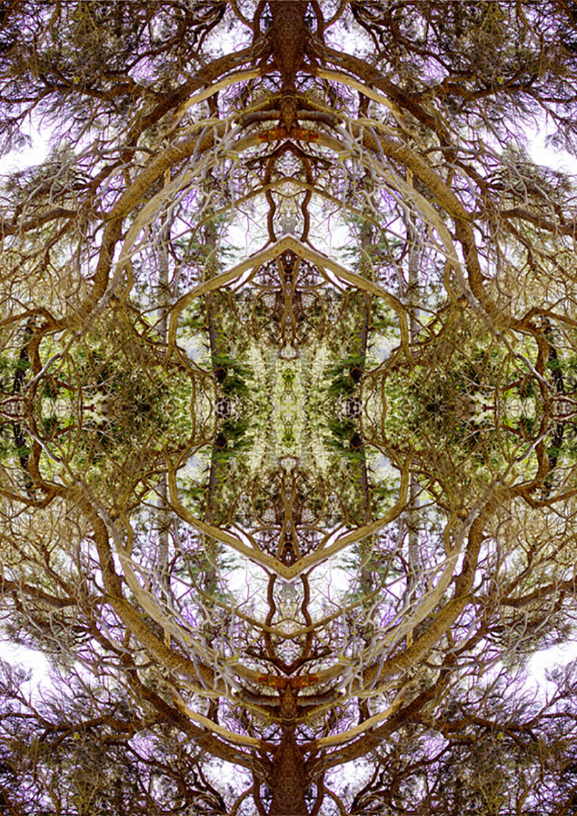 Spring Kaleidoscope 2