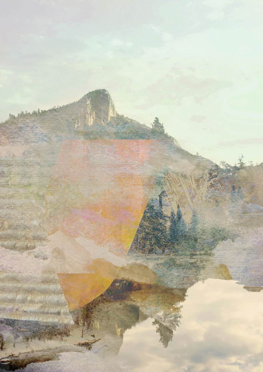 Nature Collage I