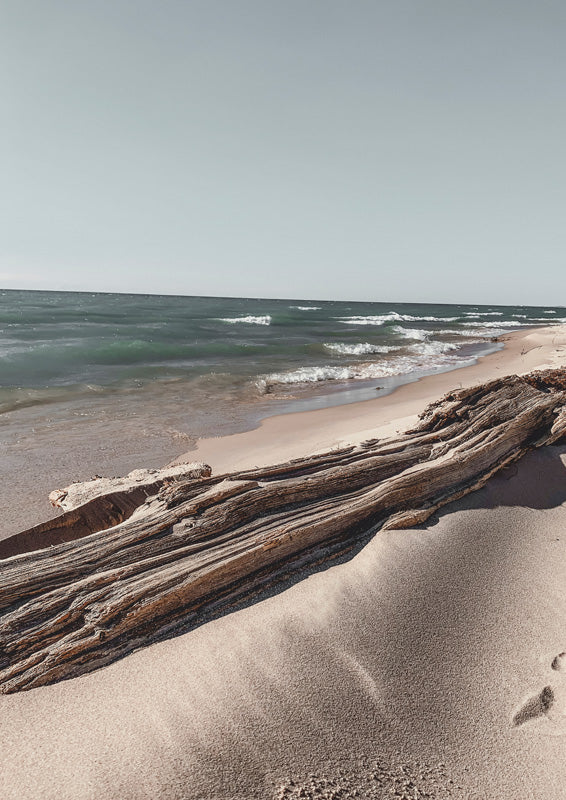 Weathered driftwood log on a sand dune with ocean waves breaking along the shoreline