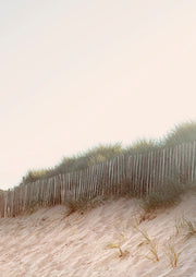 Sand dune with a wooden picket fence and dune grass under a pale sky