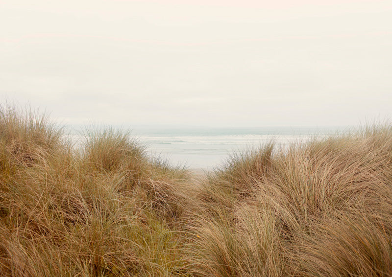 Dune grass in the foreground with a misty ocean horizon under an overcast sky