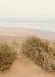 Sandy dune with wind-swept marram grass overlooking a pale beach and hazy ocean horizon