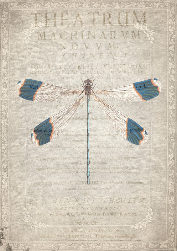 Dragonfly Book 1