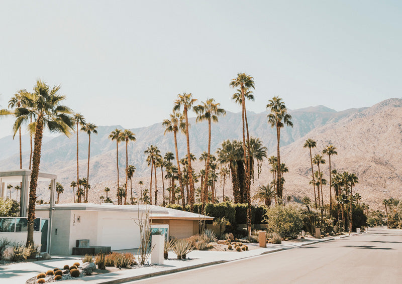Palm-lined street with a mid-century house, desert garden and mountains in the background