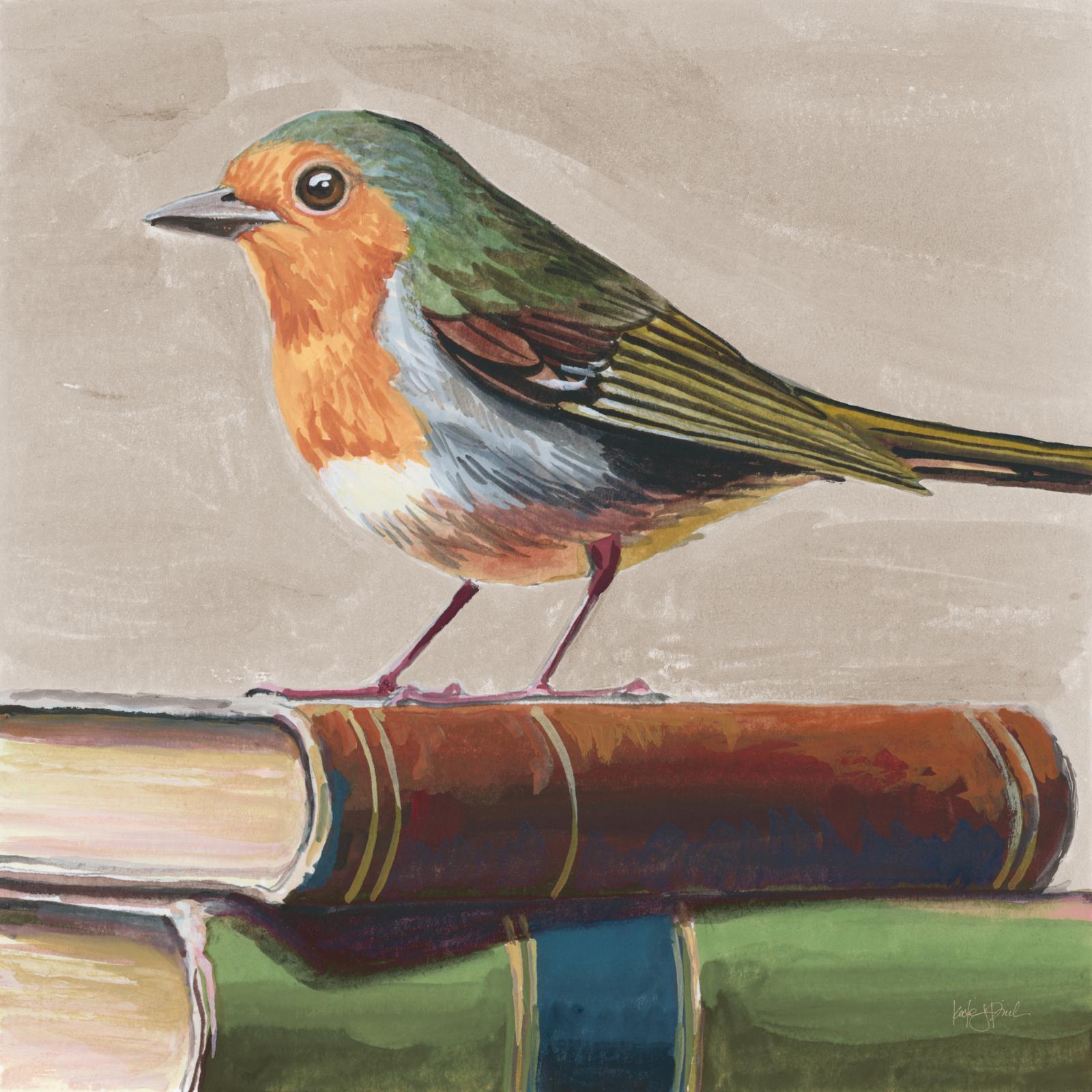 Academia Bird Study