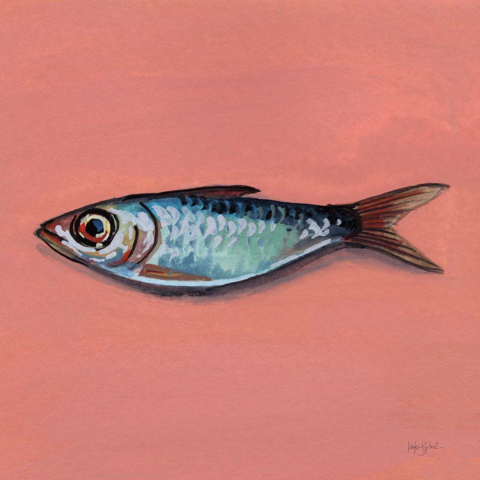 Single Sardine II