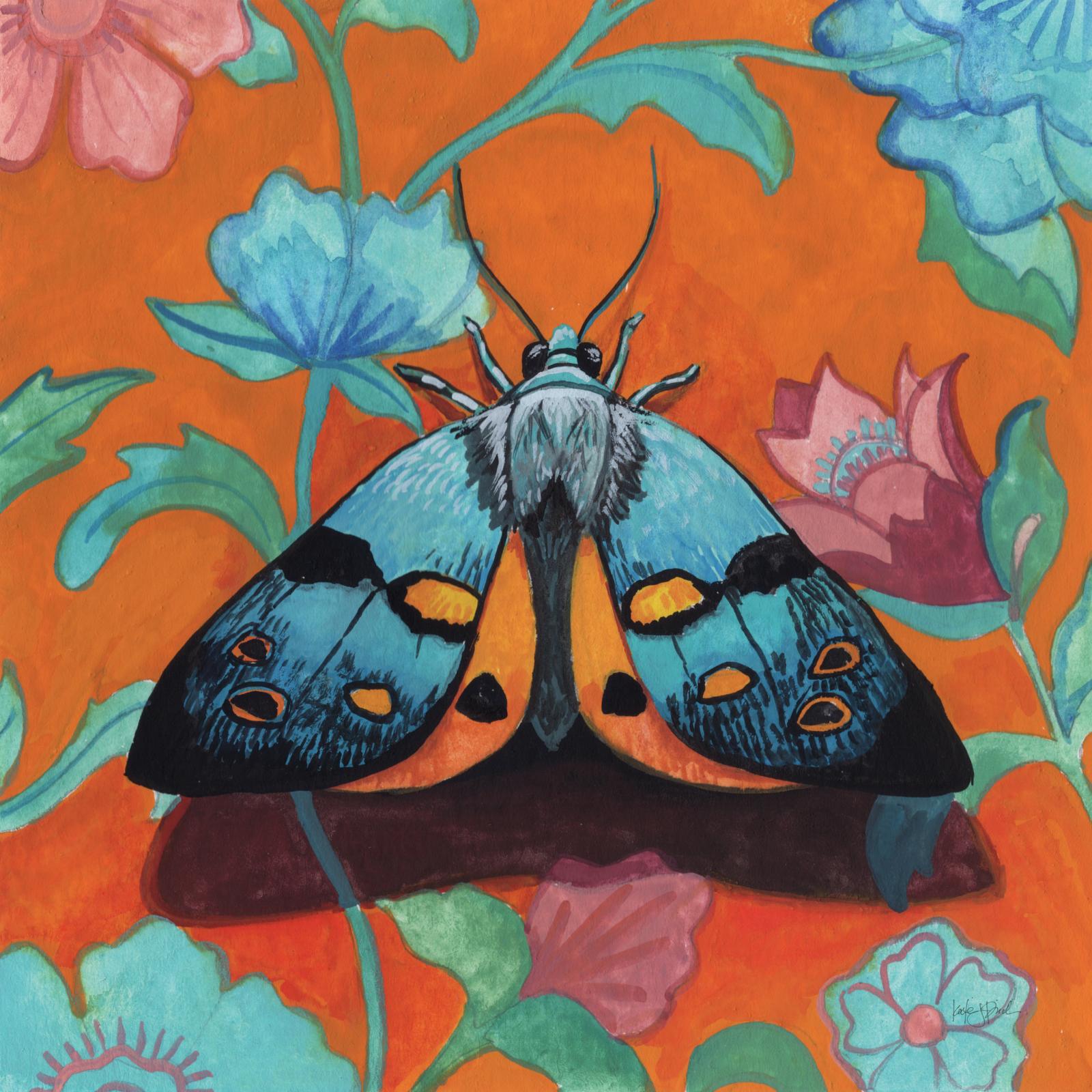 Colourful Moth On A Pattern
