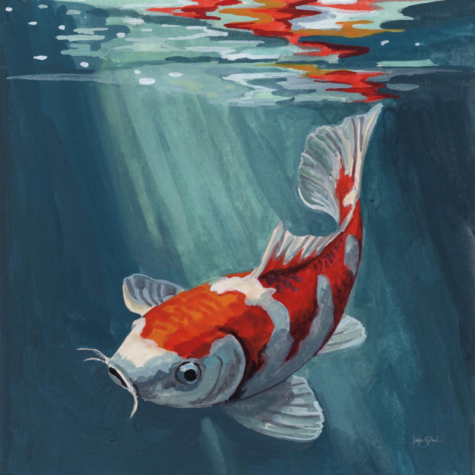 Koi Fish In A Sun Beam