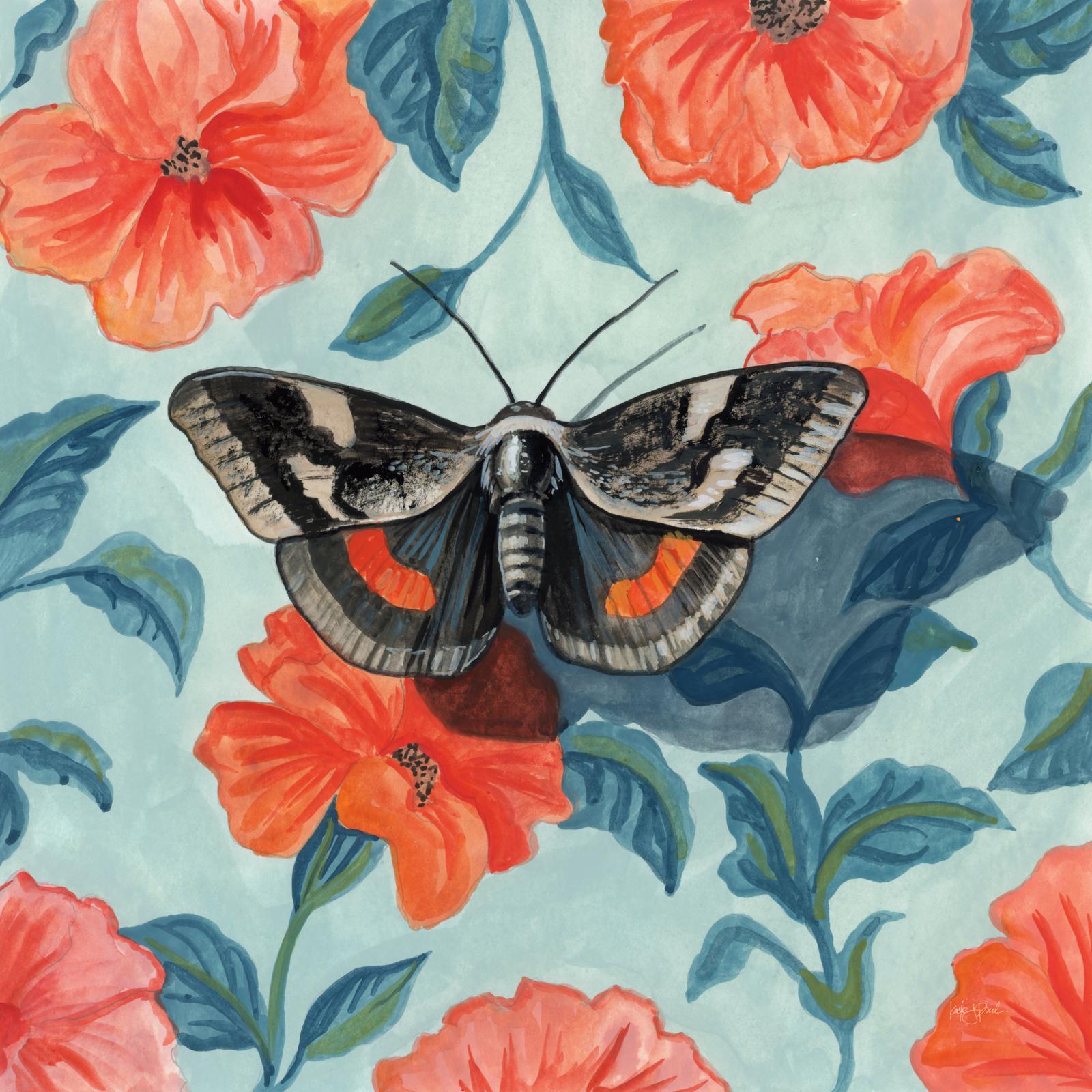 Academia Moth On The Wall