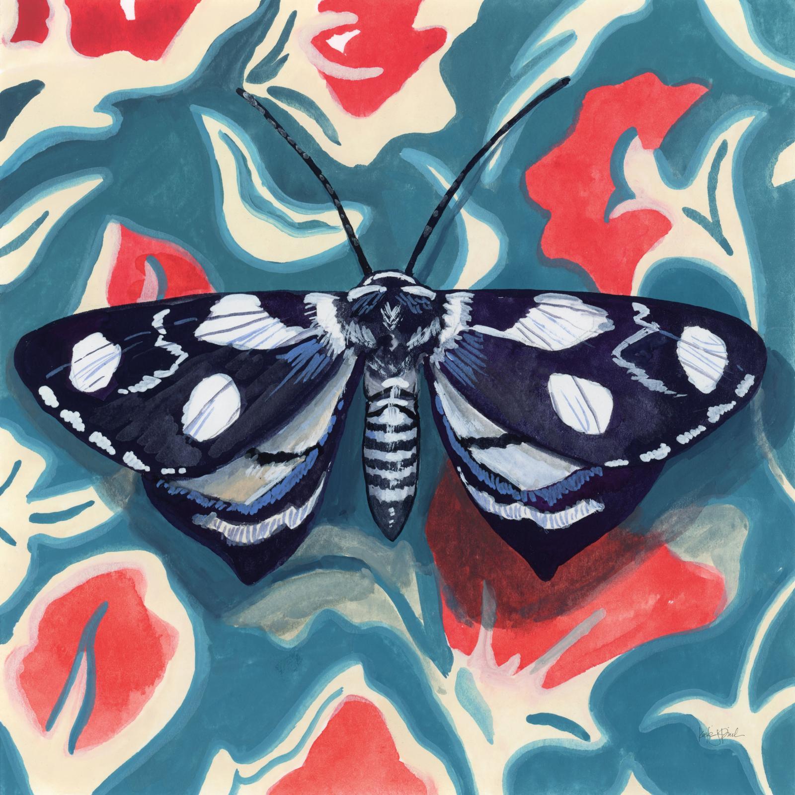 Moth On A Beautiful Wall