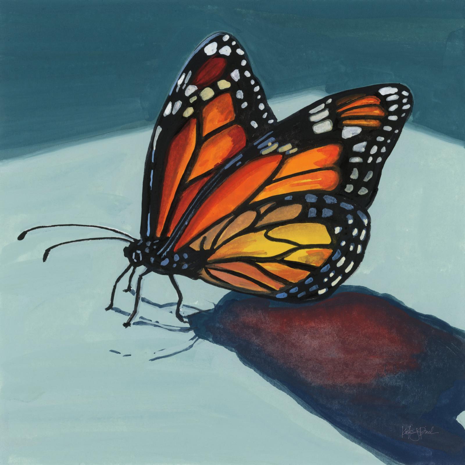 Shadow Study Of A Butterfly