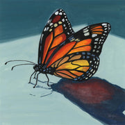 Monarch butterfly with wings spread, resting on a red stone against a teal background