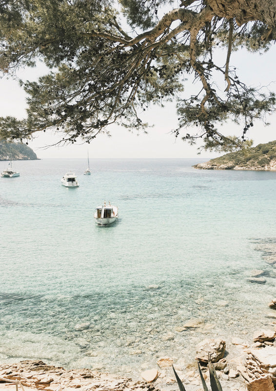 Overhanging pine branch above a turquoise bay with small white boats and a rocky shoreline