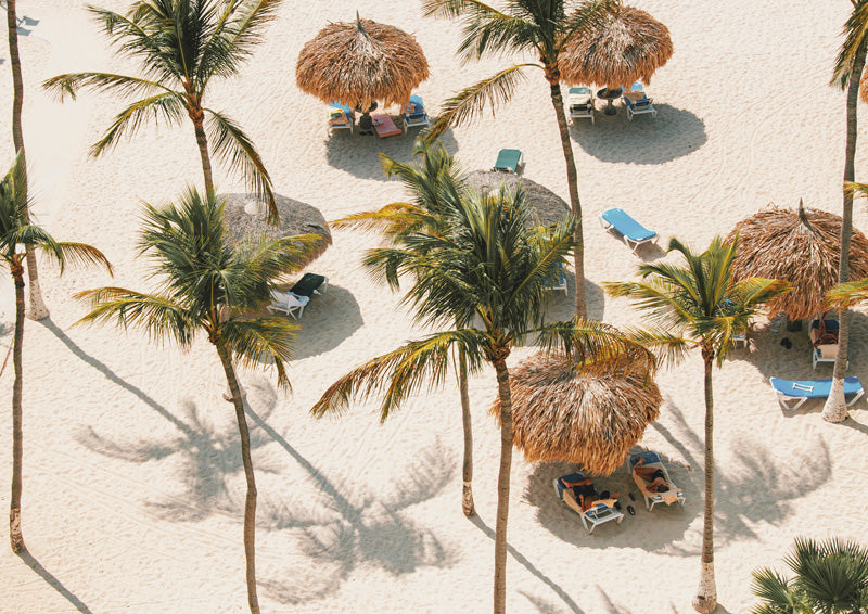 Aerial photo of palm trees, thatched umbrellas and loungers on a sandy beach