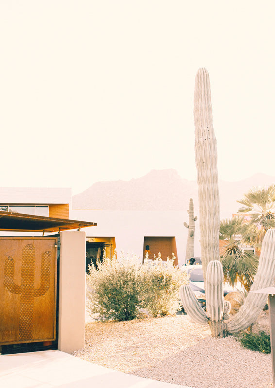 Saguaro cactus and mid-century desert home with palms and mountains in warm peach tones