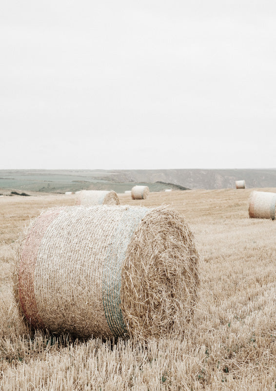 Round hay bale in a harvested field with smaller bales and hills in the background