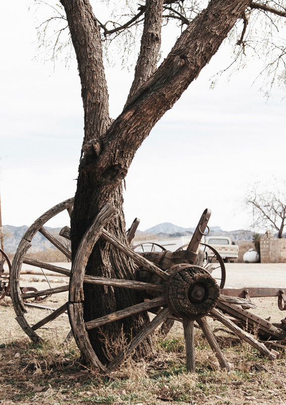Old wooden wagon wheels leaning against a large tree trunk in a rural landscape