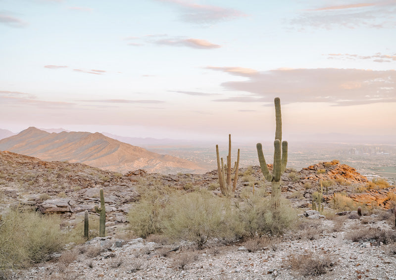 Desert landscape photo of saguaro cacti, rocky terrain, and mountains under a soft pastel sky