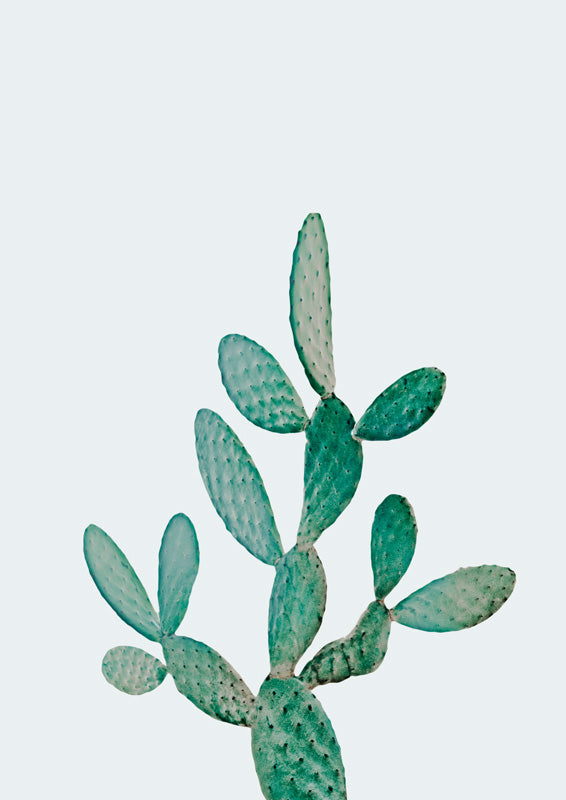 Tall prickly pear cactus illustration in sage and teal on a pale background