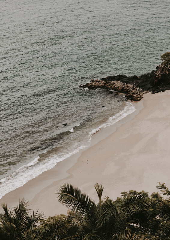 Aerial view of a beach, ocean, rocky headland and palm fronds in grey-sage tones.