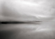 Black and white photo of a foggy lake with a low shoreline and a small bird on still water