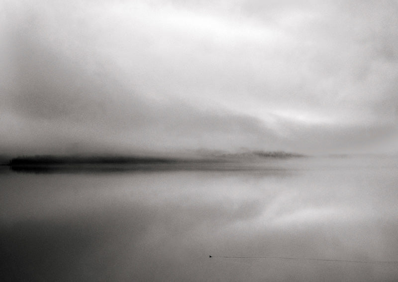 Black and white photo of a foggy lake with a low shoreline and a small bird on still water