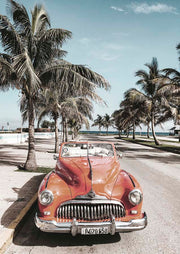 Vintage orange convertible parked on a palm-lined street near the ocean