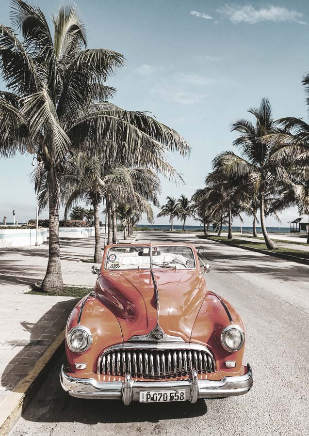 Beach Cruisin