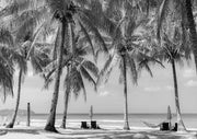 Black and white photo of palm trees on a beach with hammock, loungers and umbrellas
