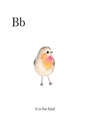 Watercolour bird illustration beside the letter Bb with caption b is for bird