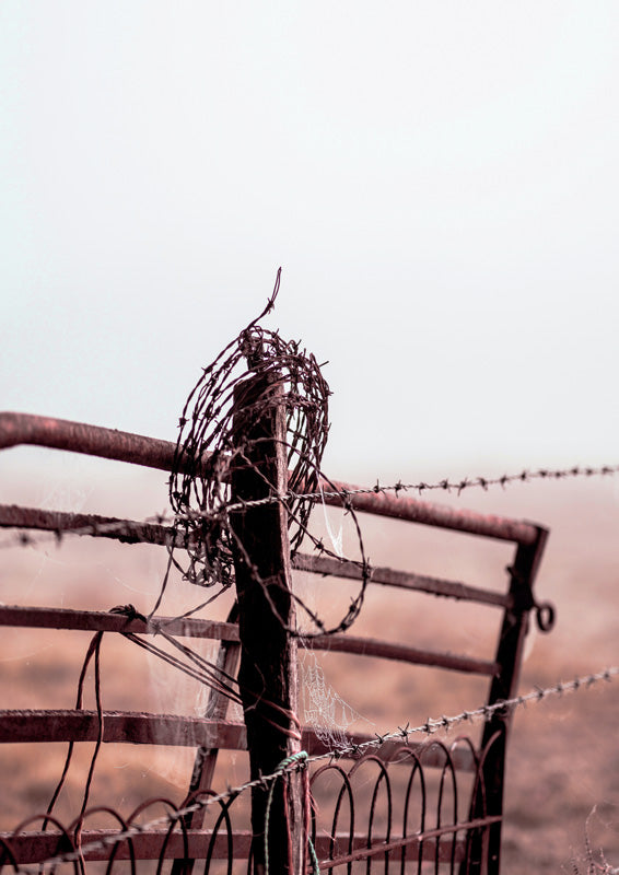 Rusty Fence
