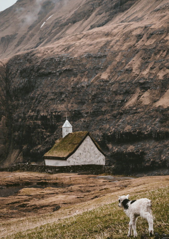 Sheep And Chapel Barn