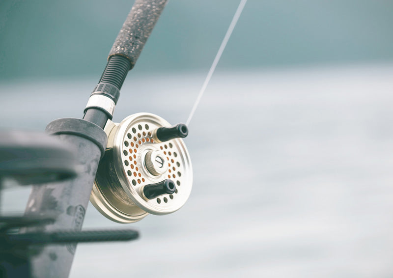 Rod And Reel