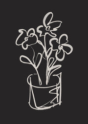 Line drawing of peonies in a pot, pale chalk lines on a dark charcoal background