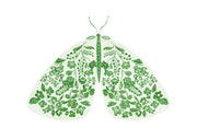 Illustration of a green floral moth motif on a cream background