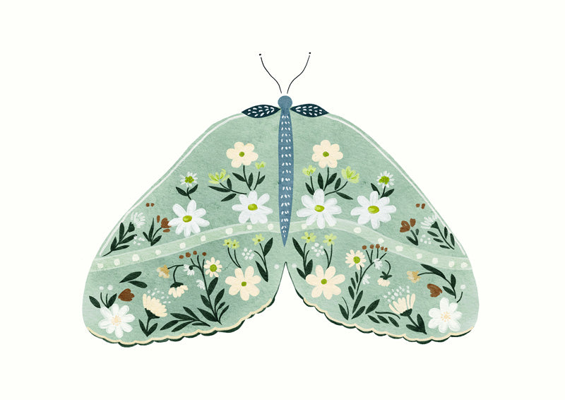 Illustration of a moth with wings patterned in white daisies and green florals on a sage background