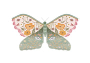 Lovely Moth
