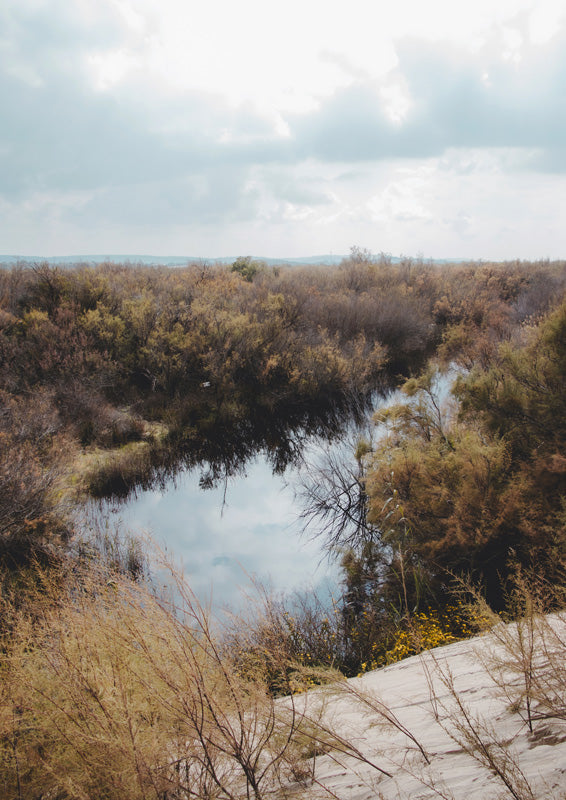 Reflective Wetland Creek