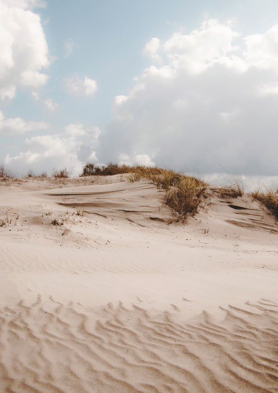 Sand Dune With Grass
