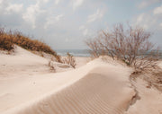 Windswept sand dune with rippled texture, dry shrubs and ocean horizon in muted tones