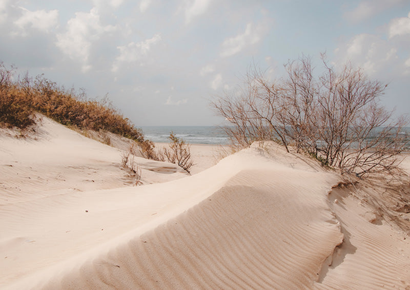 Windswept sand dune with rippled texture, dry shrubs and ocean horizon in muted tones