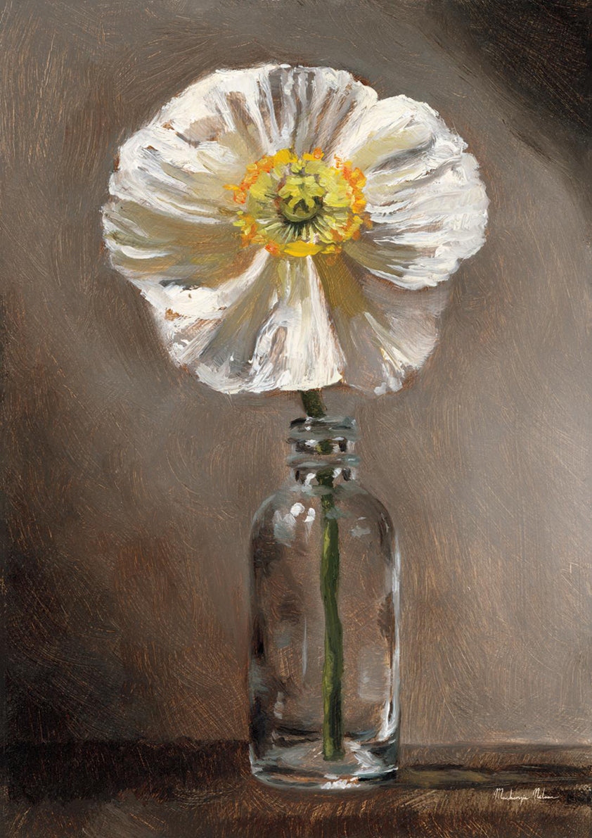 White Poppy