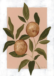 Orange Study I